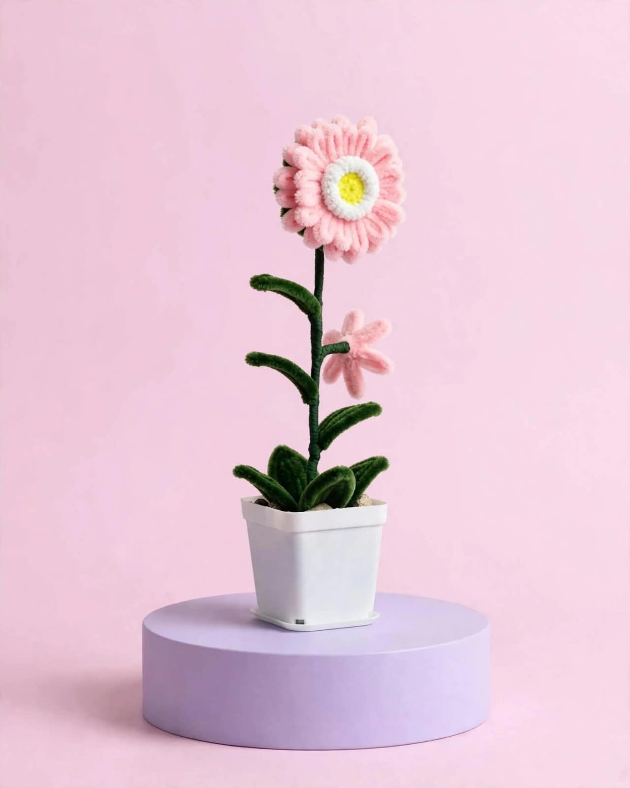 Daisy product image
